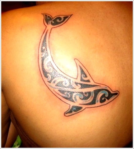 40+ Stunning Dolphin Tattoo Designs and Ideas
