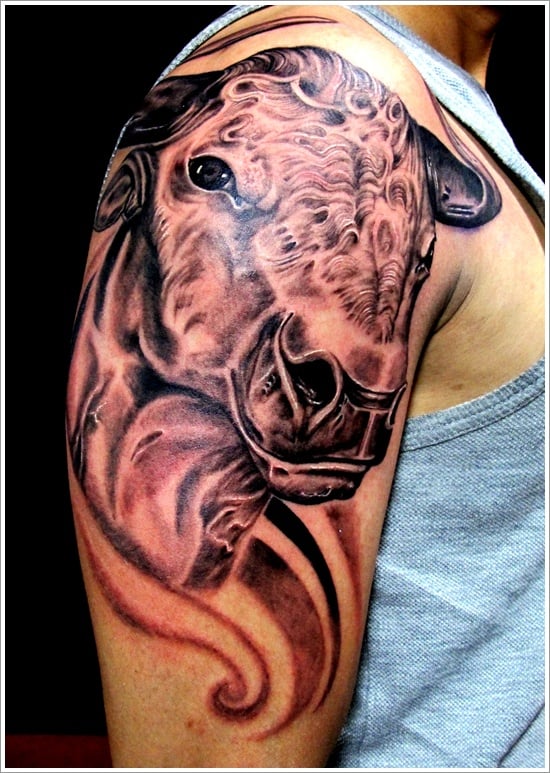 30 Dandy Bull Tattoo Designs