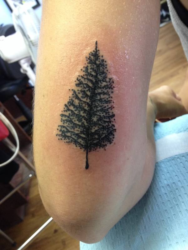 Pine Tree Temporary Tattoo  Set of 3  Tatteco