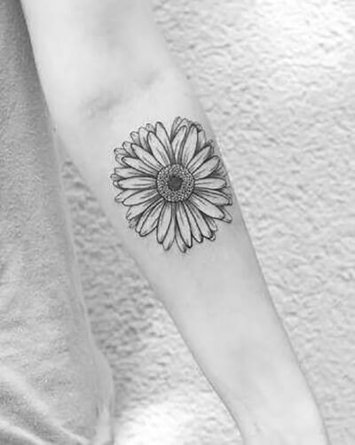 Featured image of post Stencil Sunflower Outline Tattoo - Beyza sekel s tattoo news letter tattoo with stars design.
